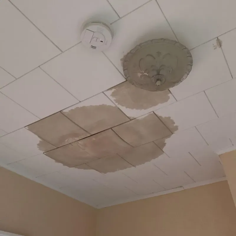 Ceiling Water Damage Repair in South Milwaukee, WI