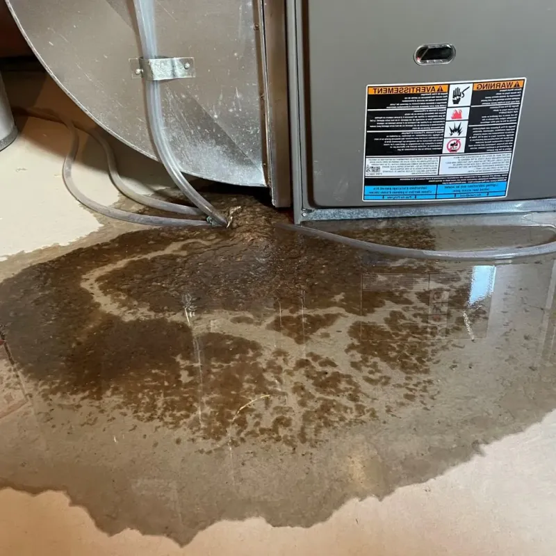 Pipe Burst and Leak Restoration in South Milwaukee, WI
